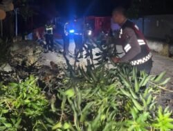 Polres Karimun Gerak Cepat Tangani Pohon Tumbang di Bukit Sidomulyo, Arus Lalu Lintas Kembali Normal