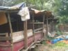 Warga Kabil Keluhkan Keberadaan Peternakan Babi di Dekat Pemukiman