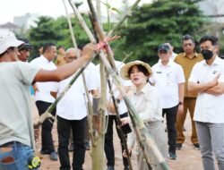 Sentuhan Hijau Li Claudia Chandra, Sulap DAS Baloi Indah Jadi Destinasi Publik yang Nyaman