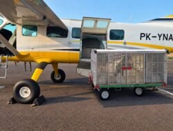 BP Batam Optimalkan Potensi Hujan, Operasi Modifikasi Cuaca Berlangsung hingga 2 November